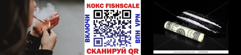 OMG tor  Алексин  COCAIN 99%  где купить  