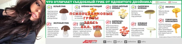 бутират Алзамай