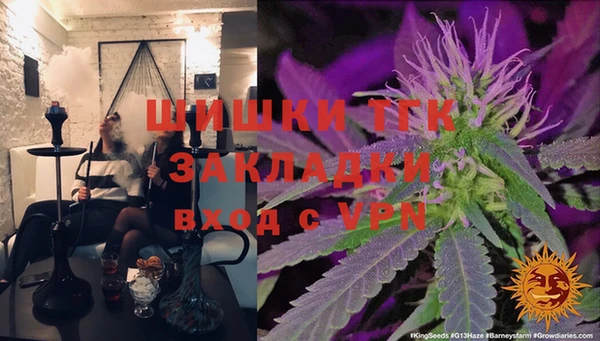 СК Алексин