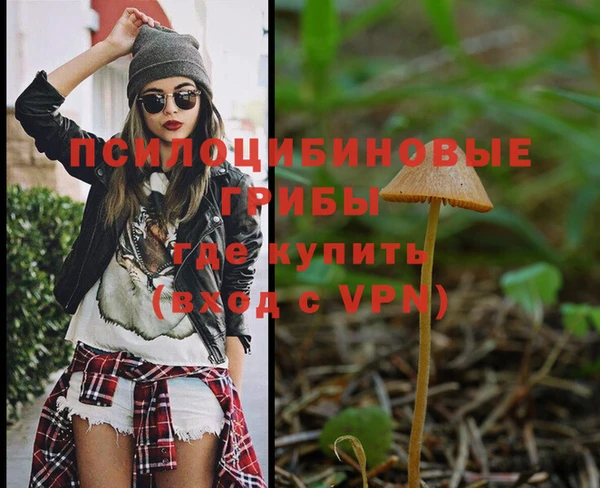 СК Алексин