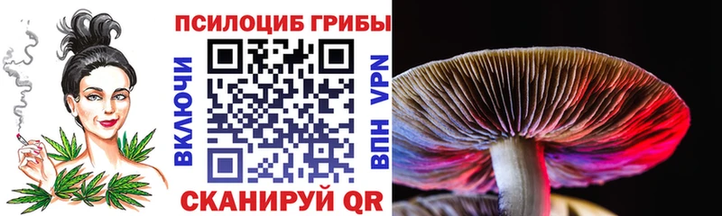 Галлюциногенные грибы мицелий  Алексин 